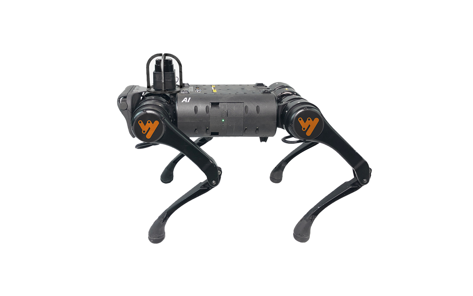 Quadruped Robot Dog A1 Weston Robot Accelerate Robot Adoption